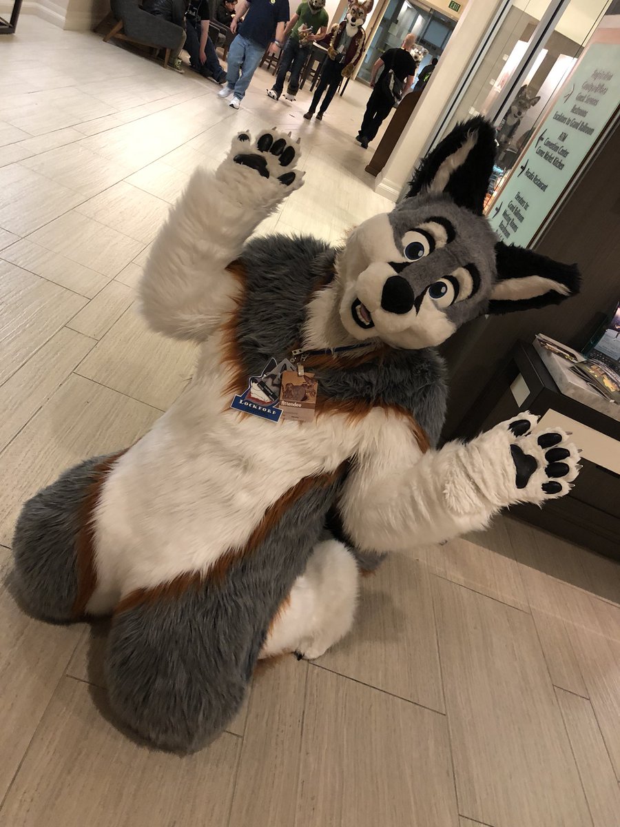 CorvinBirdy's tweet photo. It’s a @Lockfordfox at #FC2018! https://t.co/Q6FcBIIovm