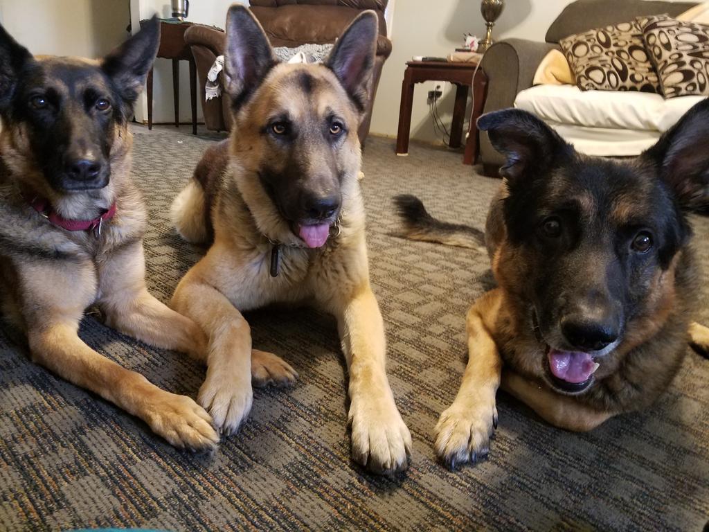 BloodMoonGypsy's tweet image. ♡♡