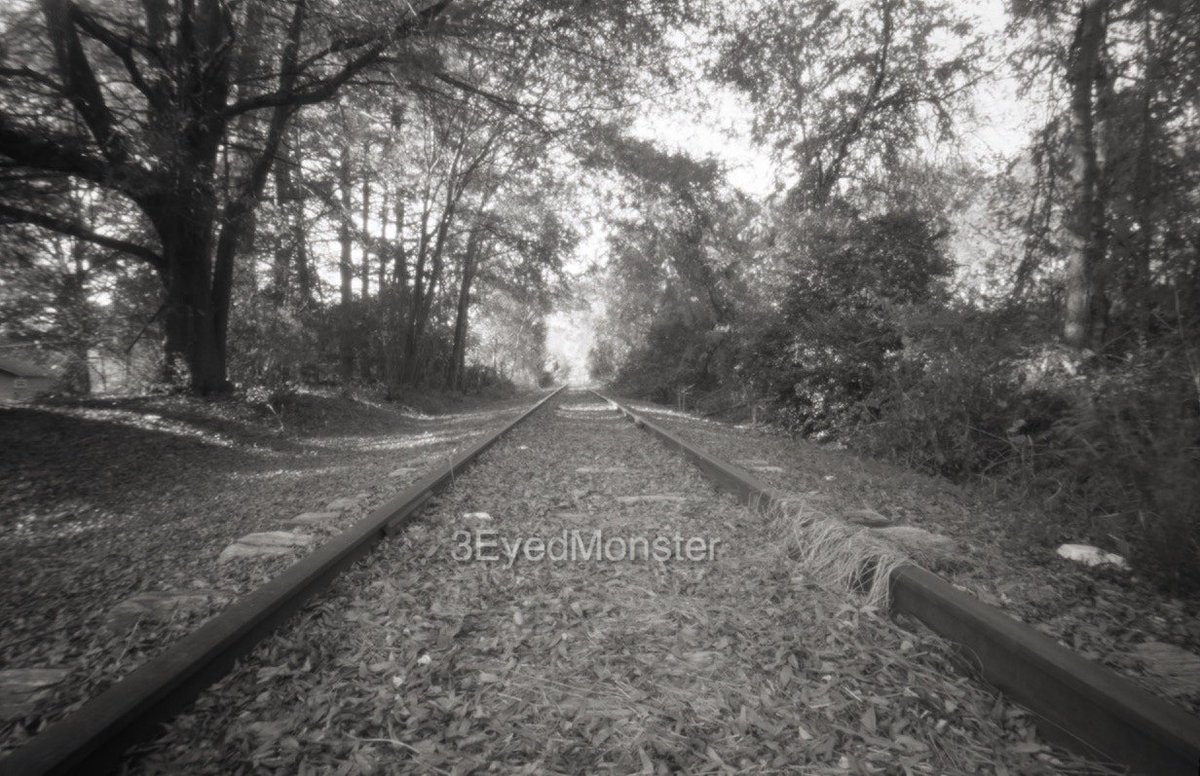 3eyedmonster's tweet photo. One Stop on the Timeline #terraPin6x9 #pinhole #acros #3dprintedcamera #believeinfilm Exposure 56 seconds https://t.co/jl0bM8YGvZ