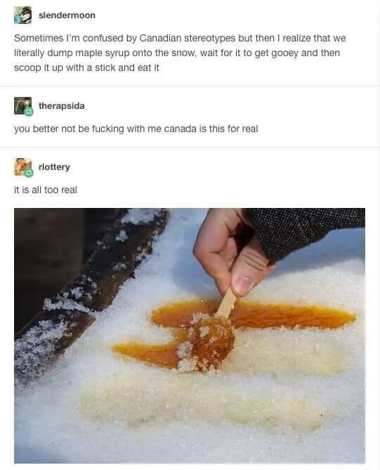 nailogical's tweet photo. Is Canada even real?🇨🇦

Tomorrow we investigate 🧐 https://t.co/XEJW12ynlm