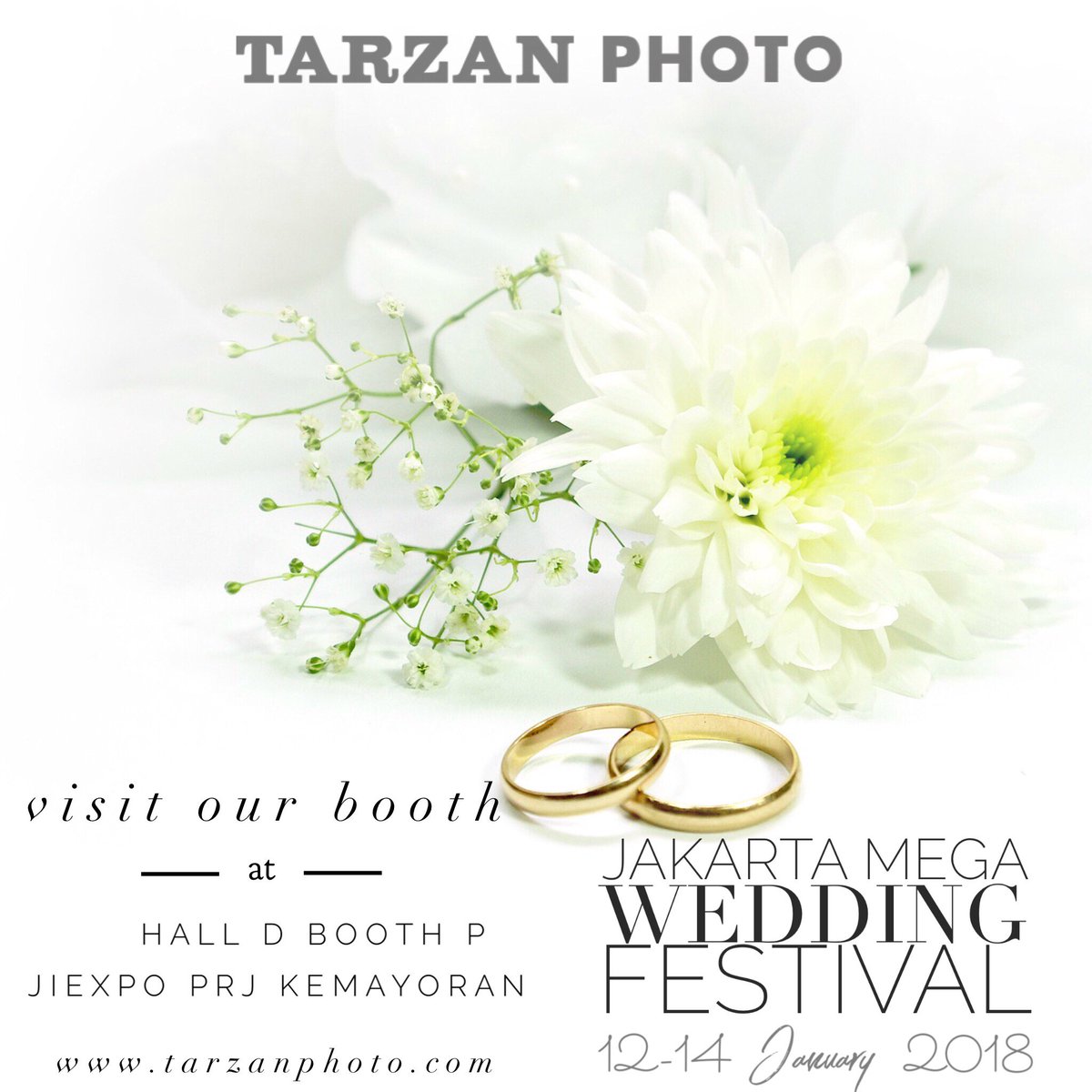 TarzanPhoto tweet media