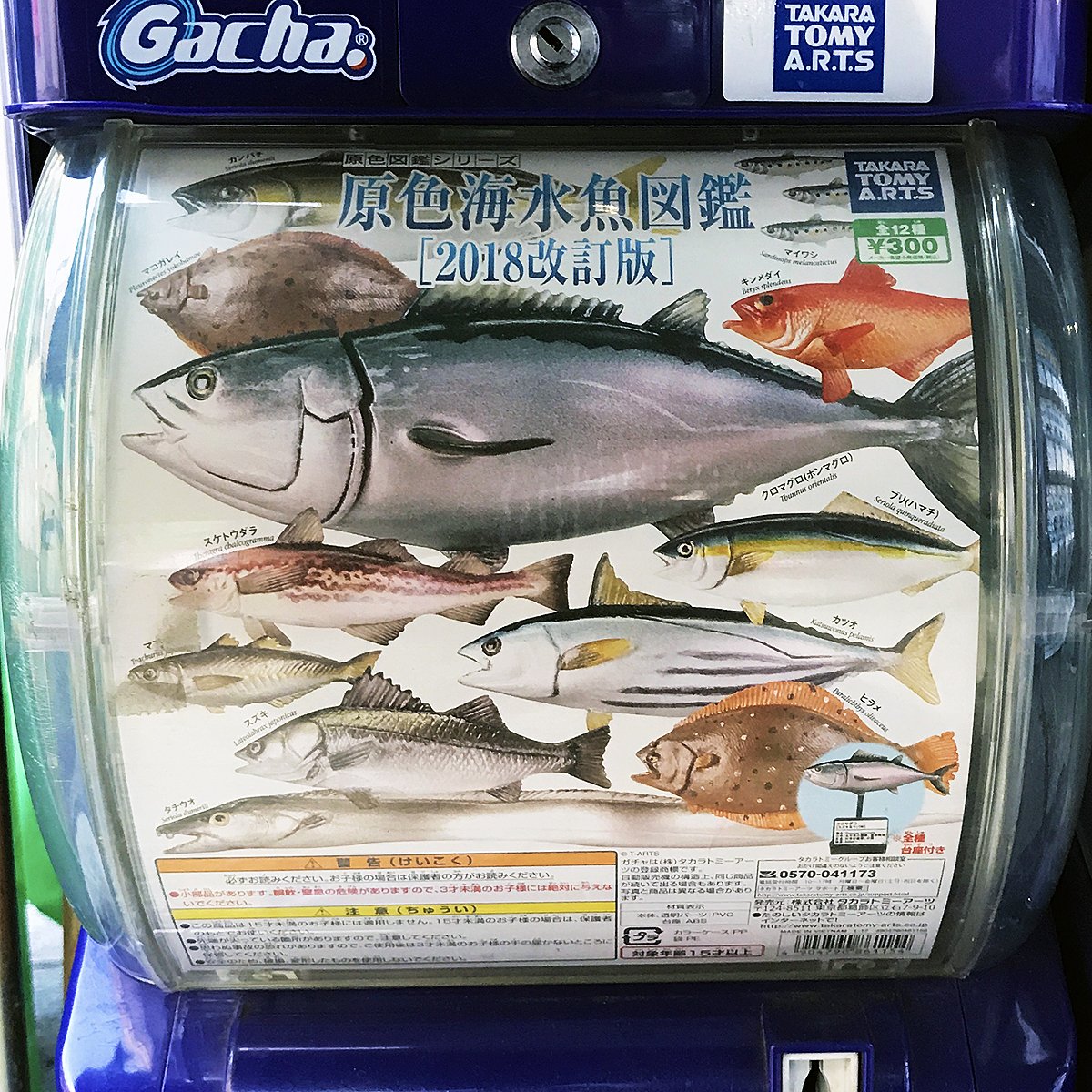ヤマシロヤ 公式 時短営業中 No Twitter 1階店頭に新入荷 タカラトミーアーツ ガチャ 原色海水魚図鑑 18改訂版 全12種 各300円 全長約2 6 8cm コレクション用プレート付きの台座が付属 いきが良さそうな精密彩色の海水魚フィギュア T ヤマシロヤ 公式 時短営業中 No Twitter 1階店頭に新入荷 タカラトミーアーツ ガチャ 原色海水魚図鑑 18改訂版 全12種 各300円 全長約2 6 8cm コレクション用プレート付きの台座が付属 いきが良さそうな精密彩色の海水魚フィギュア T