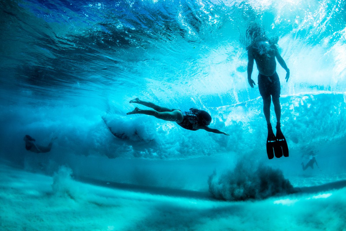 Hawaiian Winter Wonderland ❄️ #underwaterphotography #winterwonderland #snowbirds