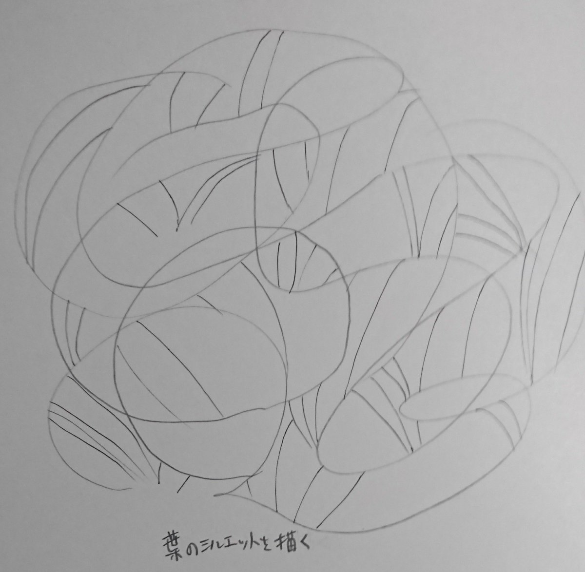 前にツイートしたものとちょっと違いますが、葉とか草の密集した部分を描くときにこんな感じの目安を入れています。 