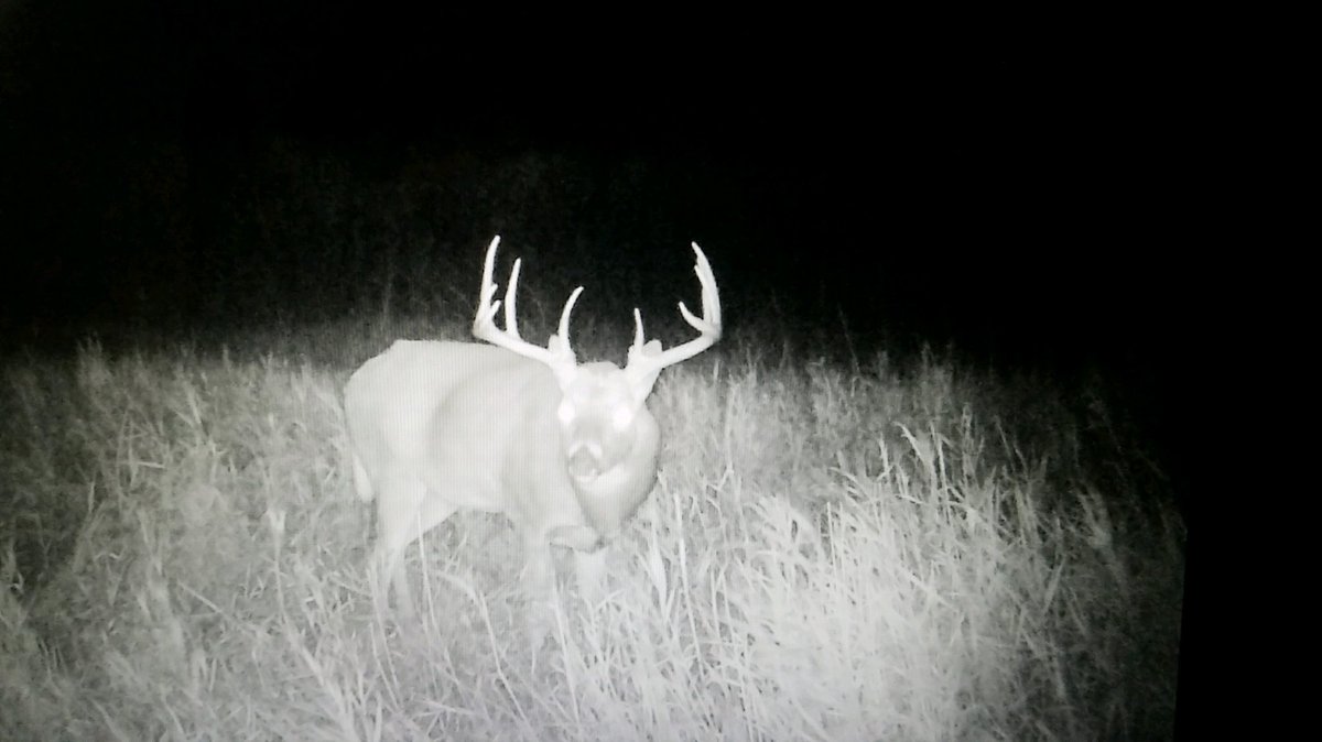 Manderson9beioo's tweet photo. @Hunter9David I hope this guy shows back up, my #1 buck is wintering on a different property if he made it. https://t.co/6M9dIyRuzo