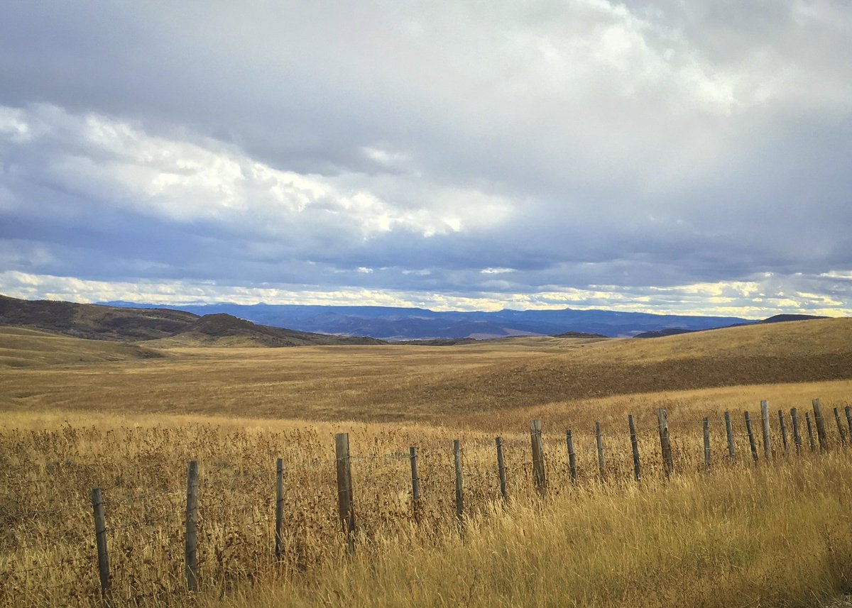 Nature_Colorado's tweet photo. @steamboatpilot reports on the final phase of Smith Rancho conservation easement. Thanks to @GreatOutdoorsCO for funding this important work. https://t.co/KqiSP0UTkR #wheredoyougoco https://t.co/2yJ7oNEgZ7