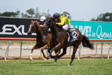 guyhexter's tweet image. Very special day to be on a racecourse. Thanks Rippa #ImARippa @tonygollan @mmsnippets