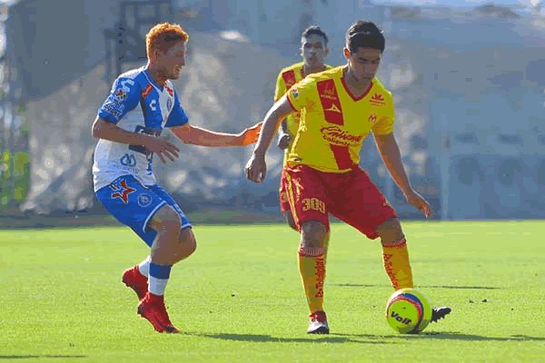 784Noticias's tweet photo. MONARCAS SUB20 IGUALO CON PUEBLA https://t.co/fbhww8OzCu https://t.co/6Kf3SAk8M3