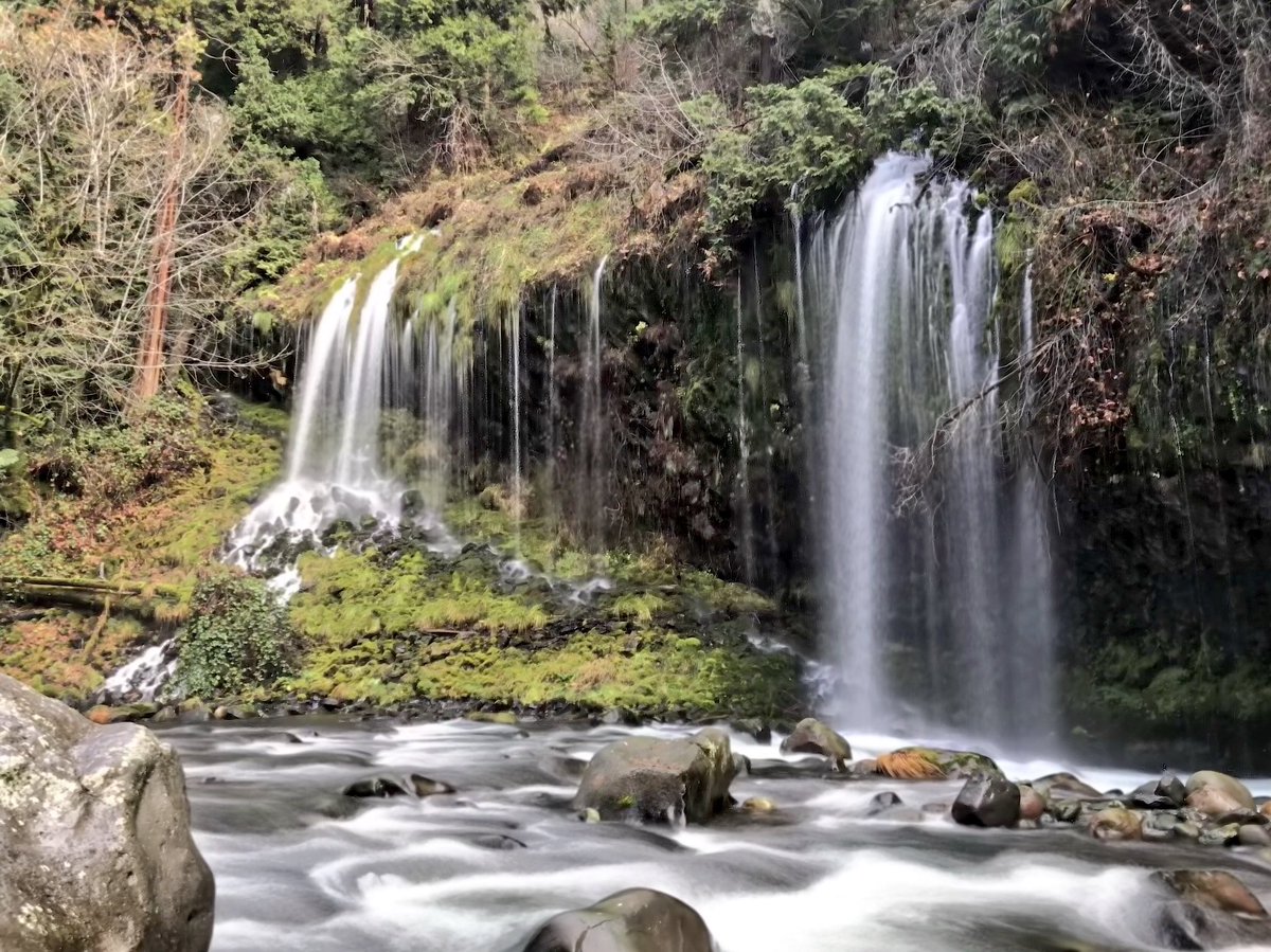 wrightttttay's tweet photo. Hiked a mile in on train tracks and had to jump down an embankment because a train came! But my goodness it was worth it 🌿 https://t.co/6fTXTKmocx