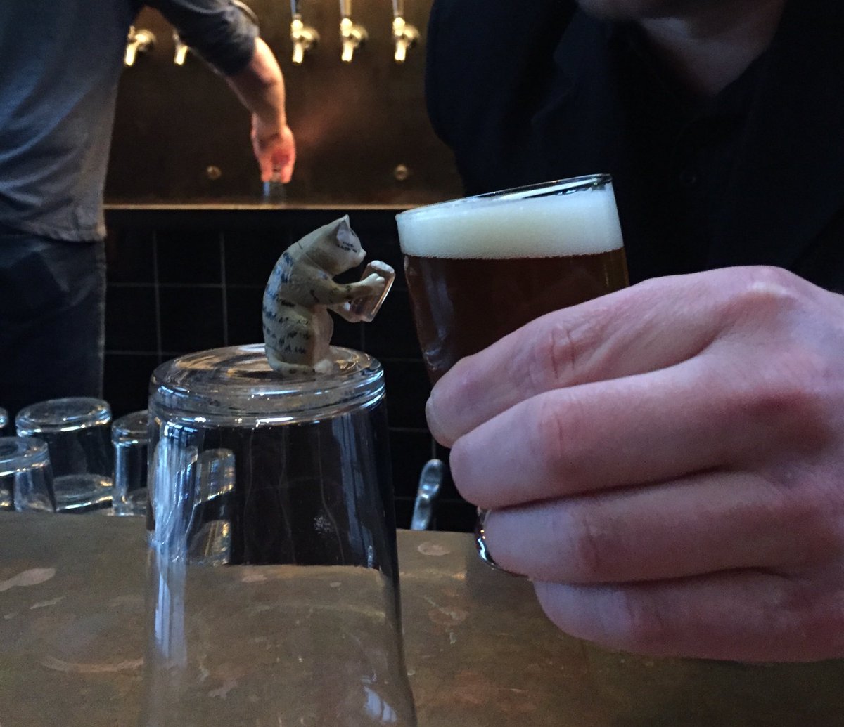 CAbeercat's tweet photo. #beercatpint #beercatcheers https://t.co/k0NjFNhRZd