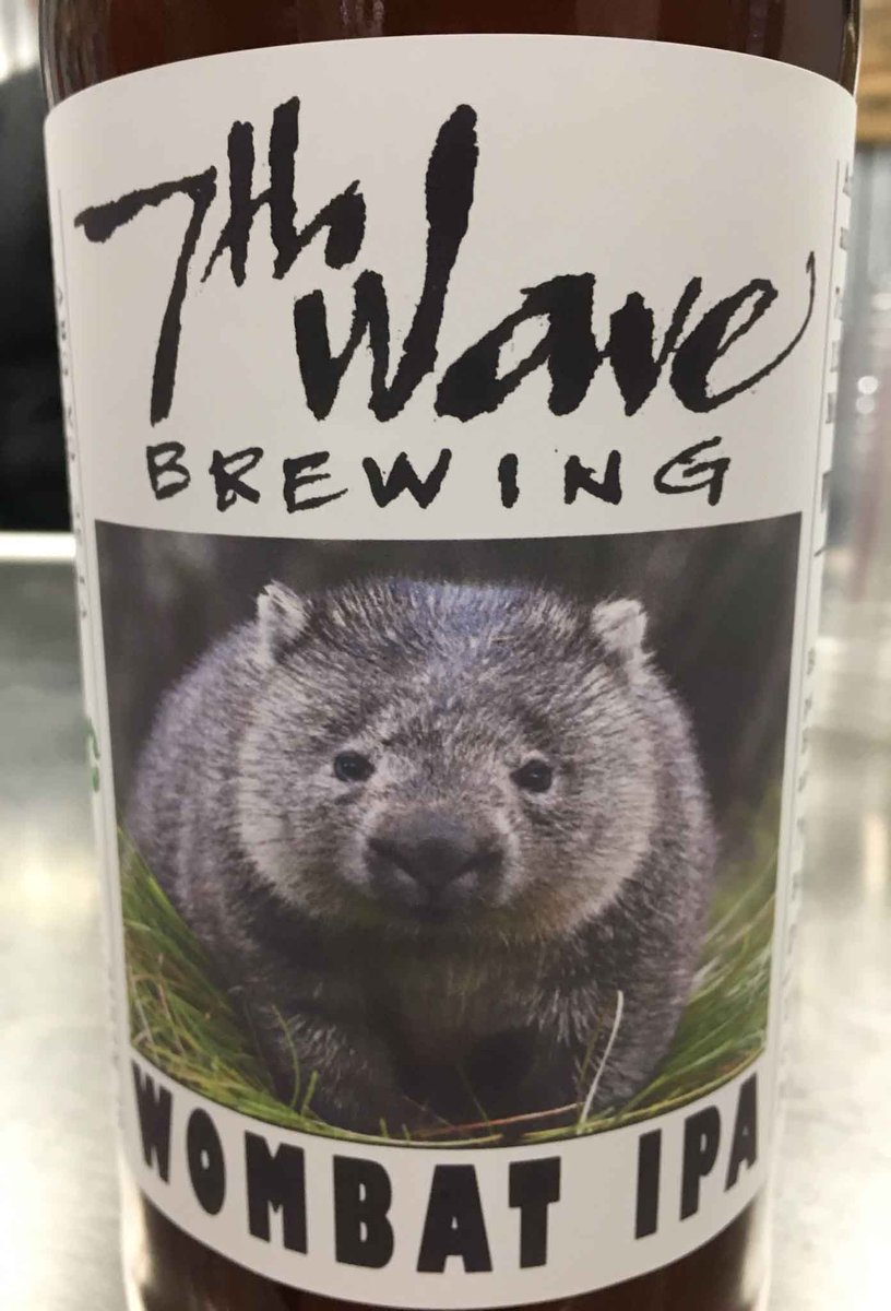 7thwavebrewing's tweet image. Australia is home to the adorable Wombat and some great new hops! Wombat IPA arrives today at 7th Wave. Hazy IPA made with wheat and hopped with Citra and Australian Topaz hops! #drinklocalbeer #newbrew #newipa #newbeer #medfieldma