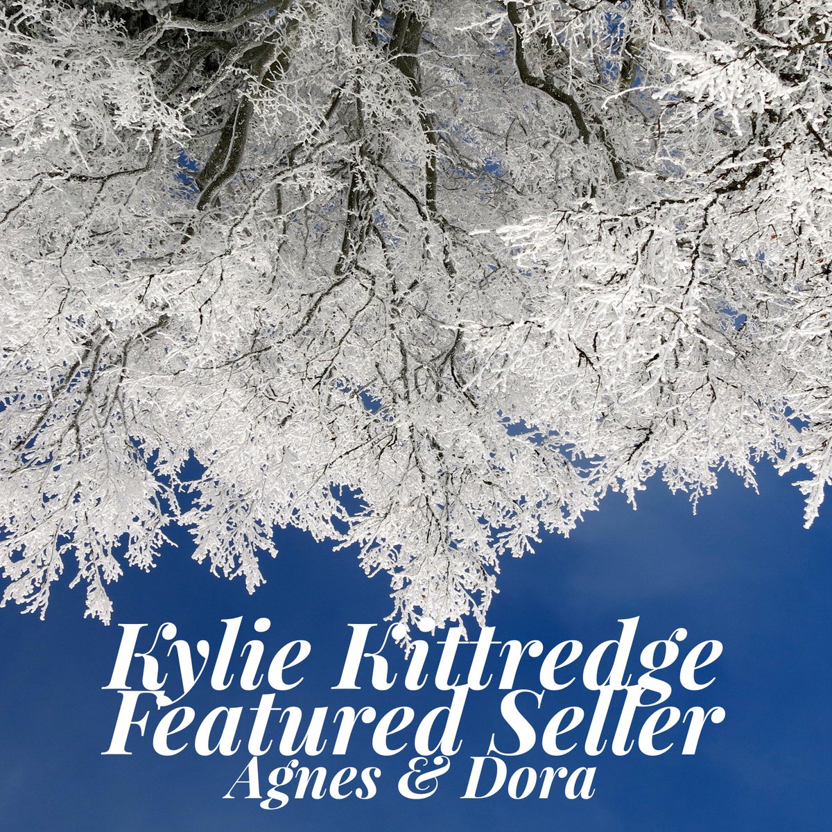 es_caply's tweet photo. Kylie is our Agnes and Dora Featured Seller this week. They have so many great styles in beautiful patterns and solids. Dresses, tops, skirts, leggings, she’s got it all! Don’t miss your chance to check out her album!  #agnesanddora #goob #sale  #womensfashion #leggings https://t.co/HBx2dUEZQn