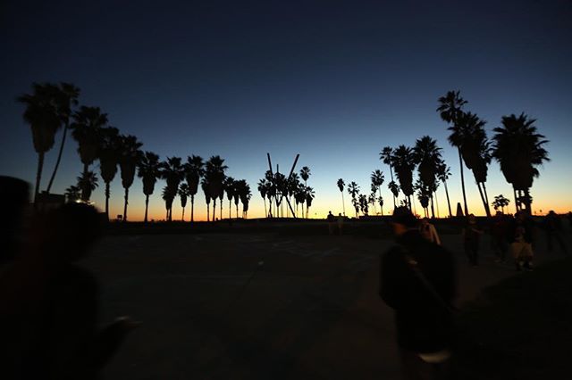 Chrissy Young On Twitter Venicebeach Ca California Beach Sunset Sunsetlovers Palmtrees Ocean Skyscape Chrissy Young On Twitter Venicebeach Ca California Beach Sunset Sunsetlovers Palmtrees Ocean Skyscape