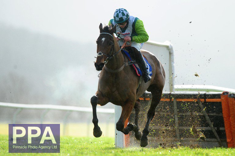 PPA Sports Content tweet media