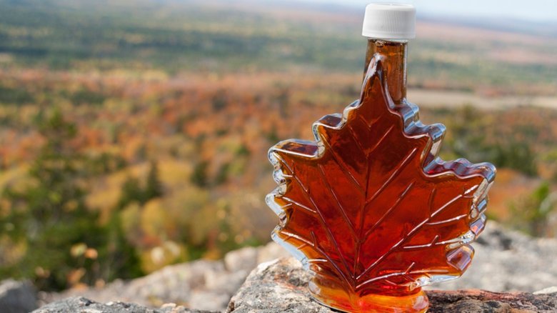 veganglobalnews's tweet photo. Please, not the syrup. Climate change could extinguish sugar maple growth. https://t.co/wKWlnIkzjI #climatechange #GlobalWarming #Vegan https://t.co/GdGEMmYC5P