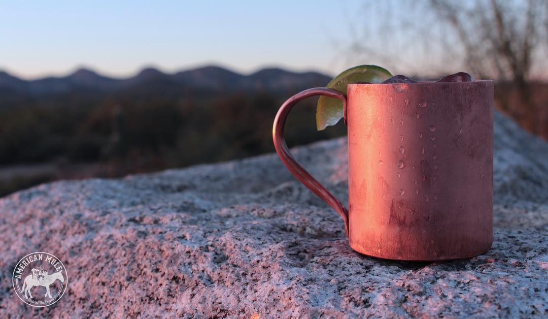 TheAmericanMule's tweet photo. Loving these Arizona sunsets🌵 while singing the American classic:🎼
"Home, home on the range. Where the deer and the antelope play.
Where seldom is heard a discouraging word..
And the skies are not cloudy all day."🙌🎤🇺🇸🎯
#wildwest #moscowmule #mule #homeontherange #arizona https://t.co/FiF1DjswyW