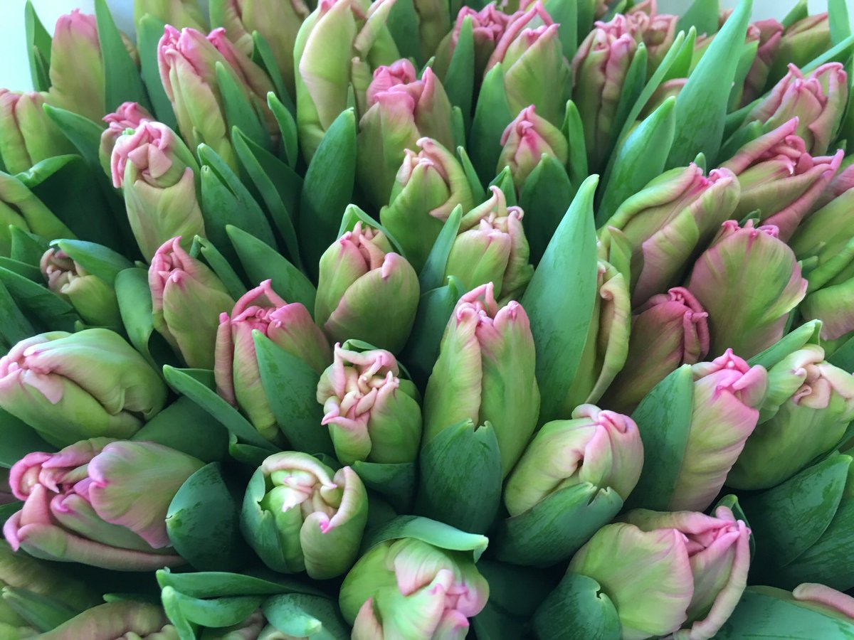 E M Cole Farms Ltd tweet media