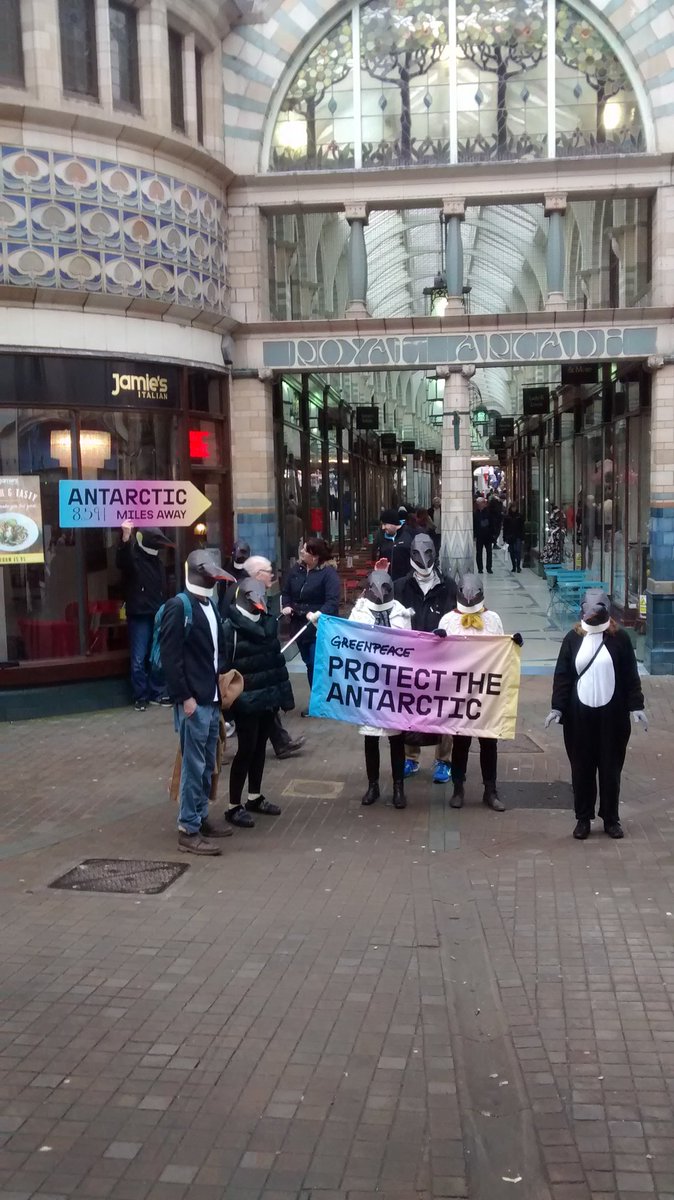 NrwchGreenpeace's tweet photo. The #RoyalArcade what better place for a group of Emperor penguins #ProtectAntarctic #PenguinAwarenessDay https://t.co/Uoi2v6PZGD
