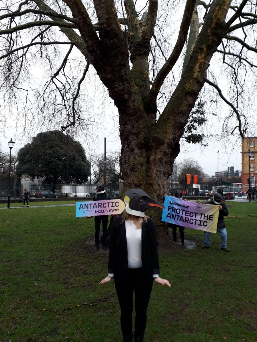 GreenpeaceSouth's tweet photo. #ProtectAntarctica! Penguins are out in force across the UK today, campaigning to protect Antarctica. Find out more by coming to see us at #OvalFarmersMarket or by following the link https://t.co/zAvmqGg8Ho @ovalfm #penguins #PenguinAwarenessDay #MarchOfThePenguins https://t.co/sNd76nK2bO