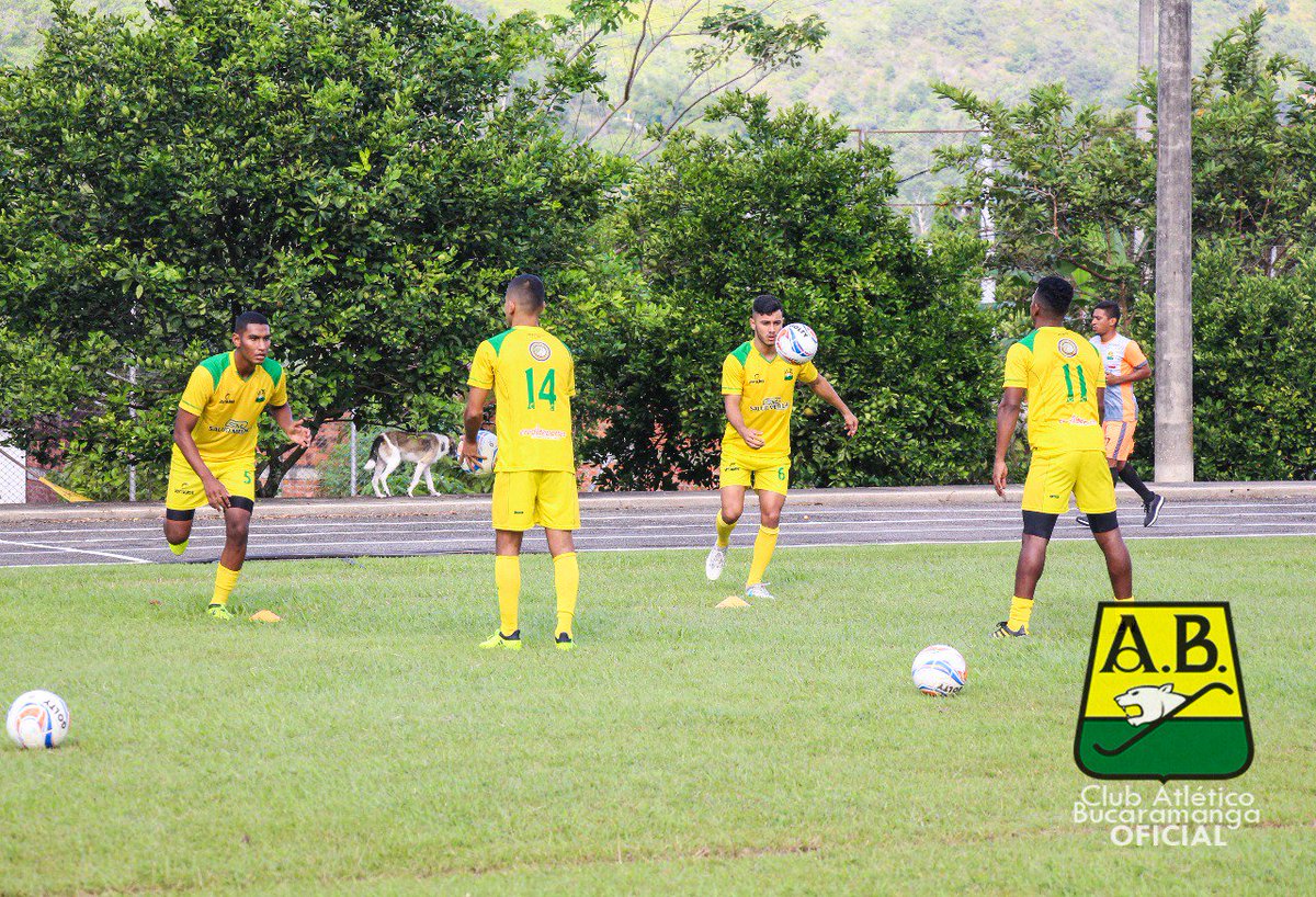 ABucaramanga's tweet photo. ¡Hoy juega el Leopardo!
Estos son los jugadores de nuestra cantera que nos representarán en el encuentro amistoso frente a Patriotas⚽️@RgatoPerez
#MadeInSantander
#VamosLeopardos💛💚 https://t.co/MoEjMG4EjH