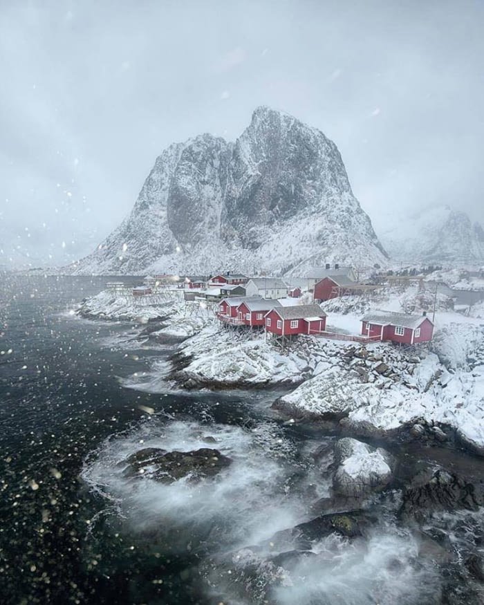 AdventuresLikeU's tweet photo. Winter at Lofoten, Norway. Love it or hate it, it's pure unearthliness! https://t.co/ziGZ51XGsw
