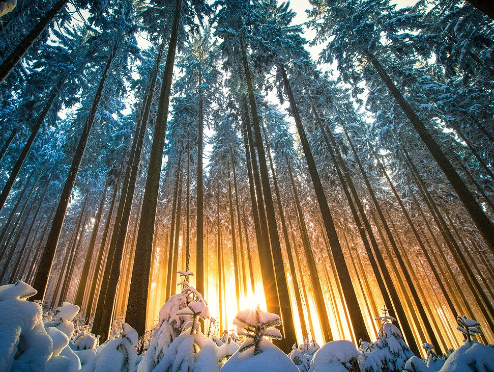 MS_Naturfoto's tweet photo. #Wintermärchen im #Schwarzwald! Zuerst war überall dichter #Nebel, doch dann kämpfte sich die #Sonne durch und der #verschneite #Wald strahlte im schönsten #Abendlicht. #Schuttertal #blackforest #sunset #WinterWonderland #SnowWhite https://t.co/IfSQqIpOIi