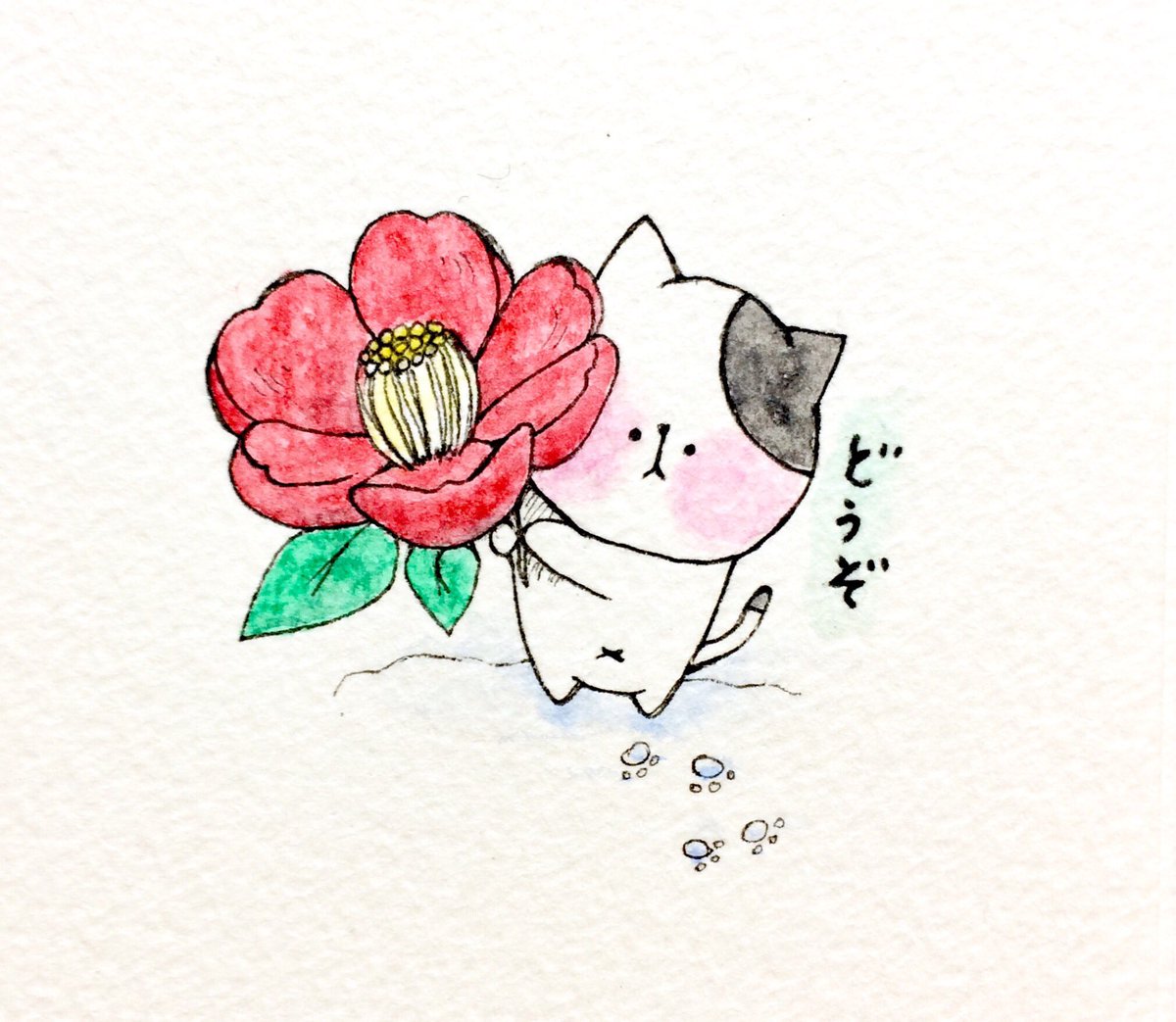 おこにゃん 椿が咲いたよ 椿 咲いた どうぞ 花 猫 ネコ ねこ イラスト 可愛い 手描き 癒し 絵描きさんと繋がりたい イラスト好きな人と繋がりたい Cats T Co Pqzpphfcew Twitter