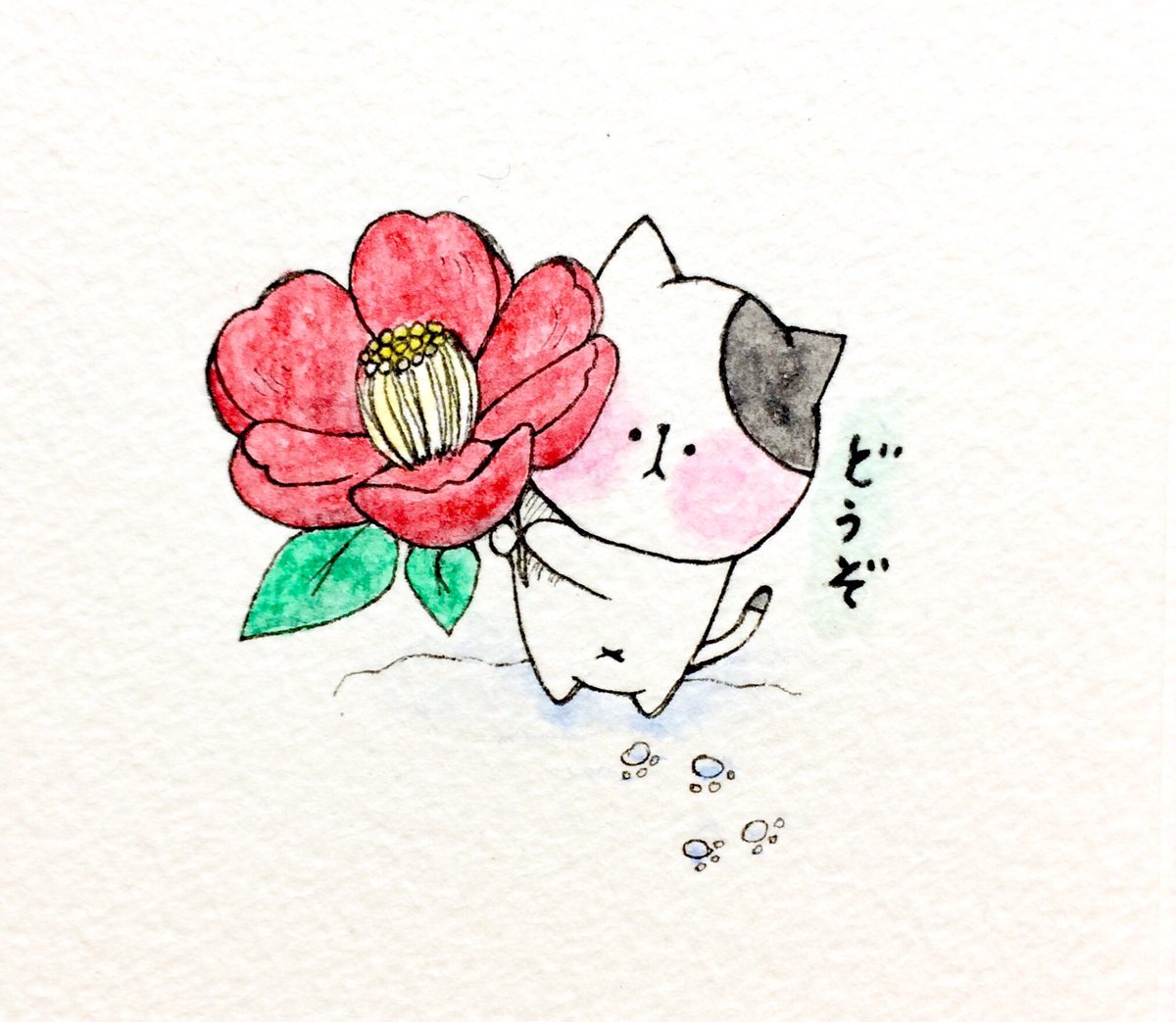 おこにゃん Twitter ನಲ ಲ 椿が咲いたよ 椿 咲いた どうぞ 花 猫 ネコ ねこ イラスト 可愛い 手描き 癒し 絵描きさんと繋がりたい イラスト好きな人と繋がりたい Cats