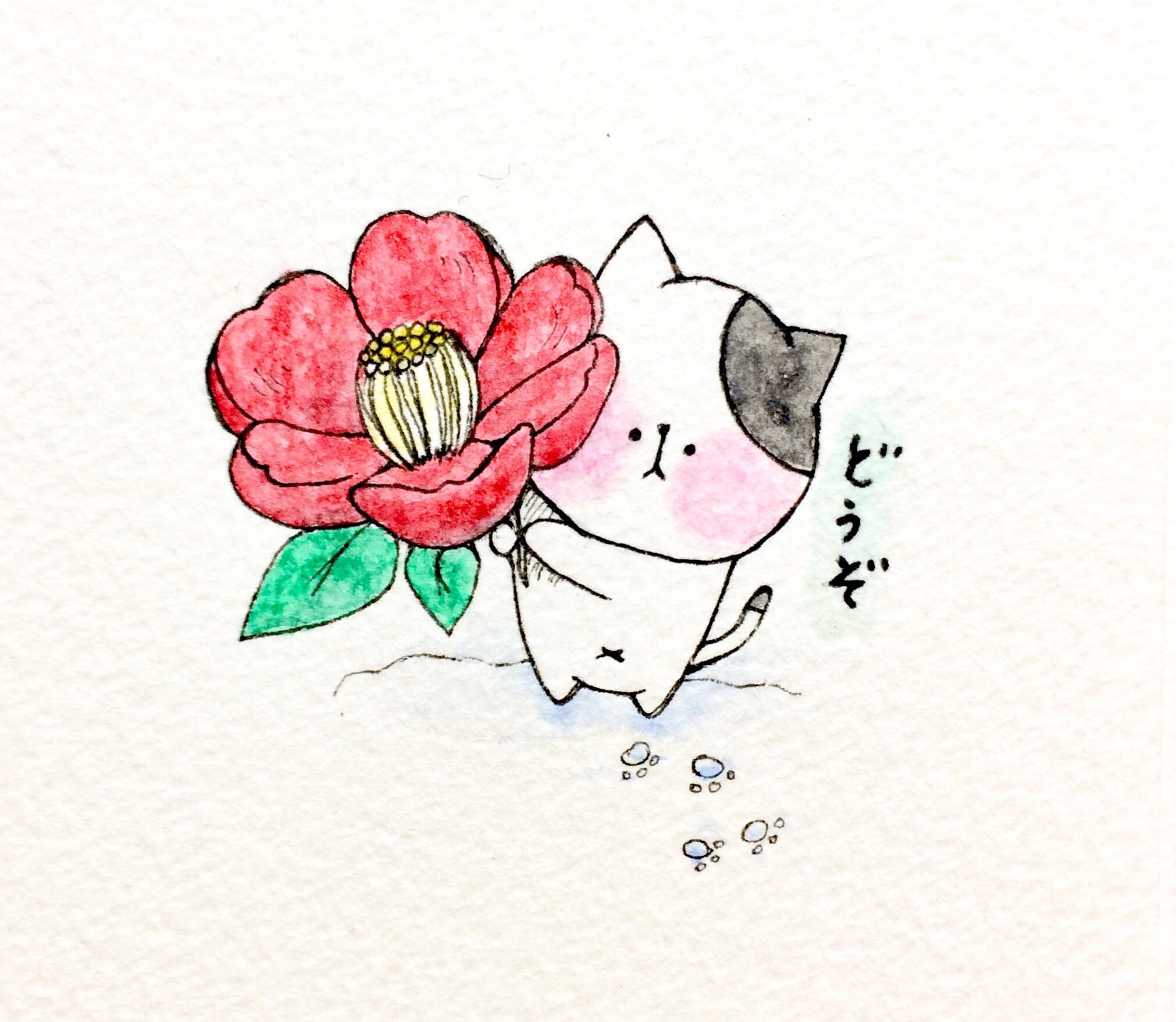 おこにゃん 椿が咲いたよ 椿 咲いた どうぞ 花 猫 ネコ ねこ イラスト 可愛い 手描き 癒し 絵描きさんと繋がりたい イラスト好きな人と繋がりたい Cats