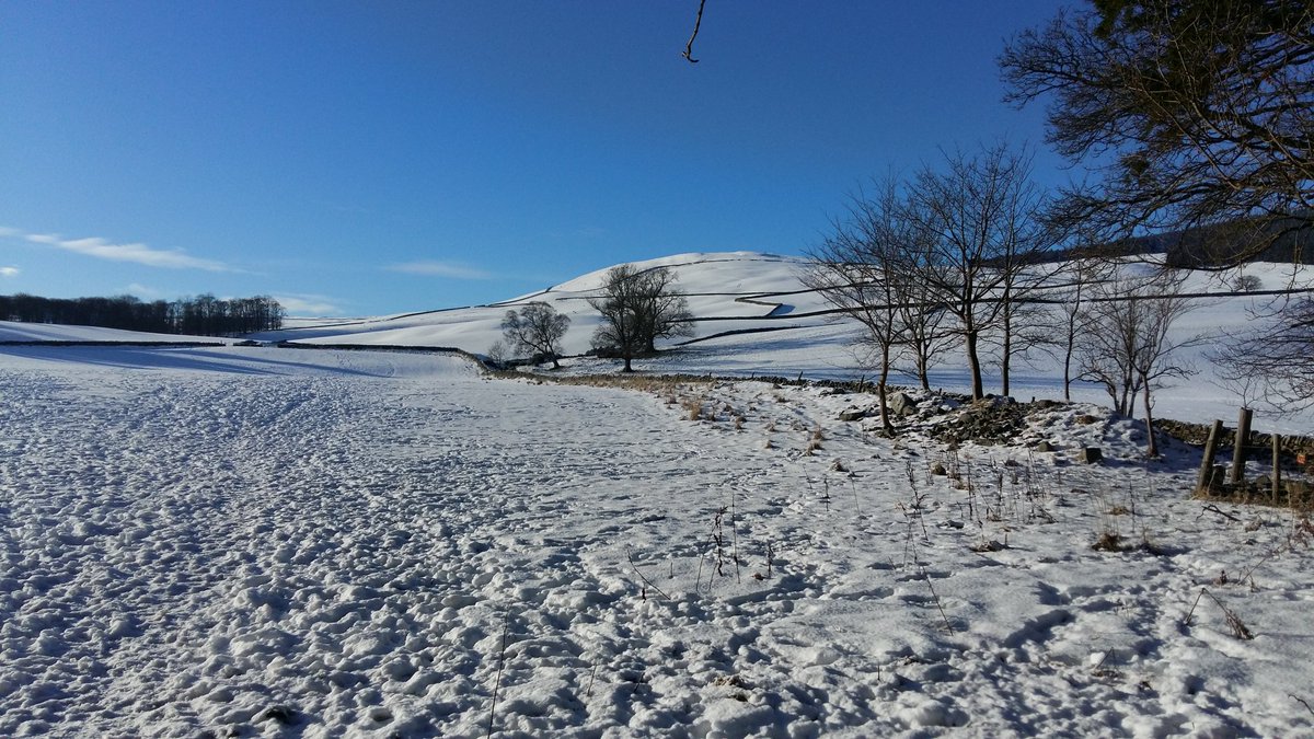 AnxiousAmbler's tweet photo. No Vogrie parkrun this morning due to snow &amp; ice so went for a snowy &amp; icy run at Gala policies instead - so pretty!! #ScottishBorders #scotlandinsnow https://t.co/WuLor7k3JF