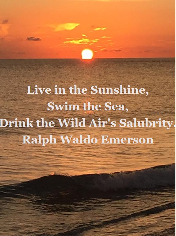 LiveaMemory's tweet photo. #Live in the #Sunshine,
#Swim the #Sea,
Drink the Wild Air's #Salubrity!
- Ralph Waldo #Emerson
#HappyWeekend Everyone!
May Your #Weekend be Filled with Sunshine
May You Swim in Your Sea
May You Enjoy All the Good Things Your Weekend Brings!
#Inspiration
#Determination
#Memories https://t.co/VOQ4NNJAhV