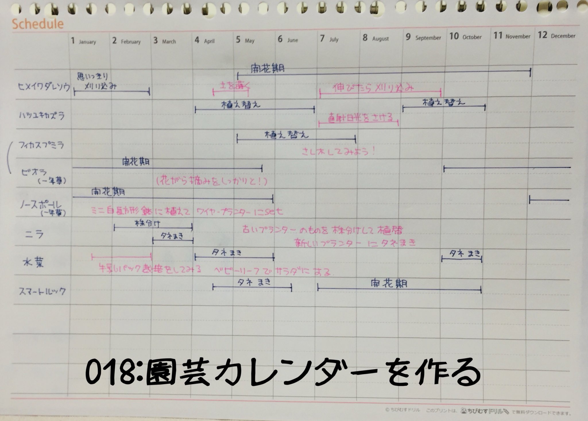 アコ 今日の とっておき家事 園芸カレンダーを作る No 018 いつも種まきの時期を逃して あちゃー ってなるので 種まき 植付けの予定のある花と野菜の予定を書き出し ちょっと見にくいからもうちょいわかり易くしたいなぁ 春が待ち遠しい