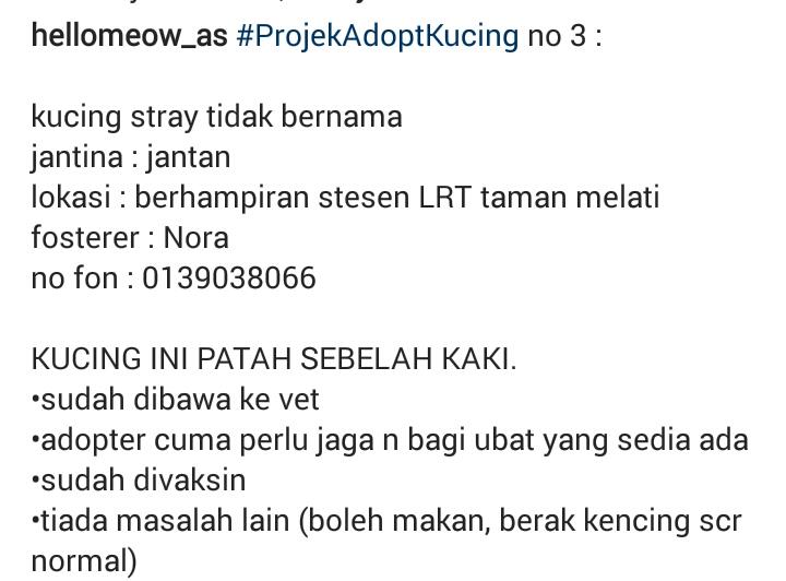 hellomeow_as's tweet photo. #ProjekAdoptKucing no 3

meow kaki patah
location fosterer : area let tmn melati.

@bujibu_chempel @ulat_bulu_bulu https://t.co/x9ZpL8RYpb