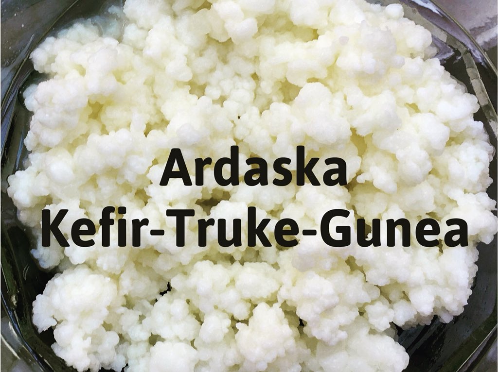 ardaska_algorta's tweet photo. ¿Quieres el hongo para hacer tu propio Kefir? Ardaska pone en contacto a los clientes que quieren tener y quieren compartir du hongo. Ponte en contacto con nosotros y conseguiremos el tuyo lo más rápidamente posible 🔄🔃🔄 https://t.co/VfzdW9mGoN