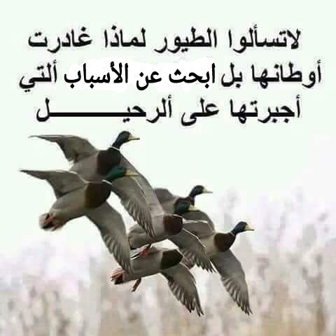 Sup_Math's tweet image. منقول ...........