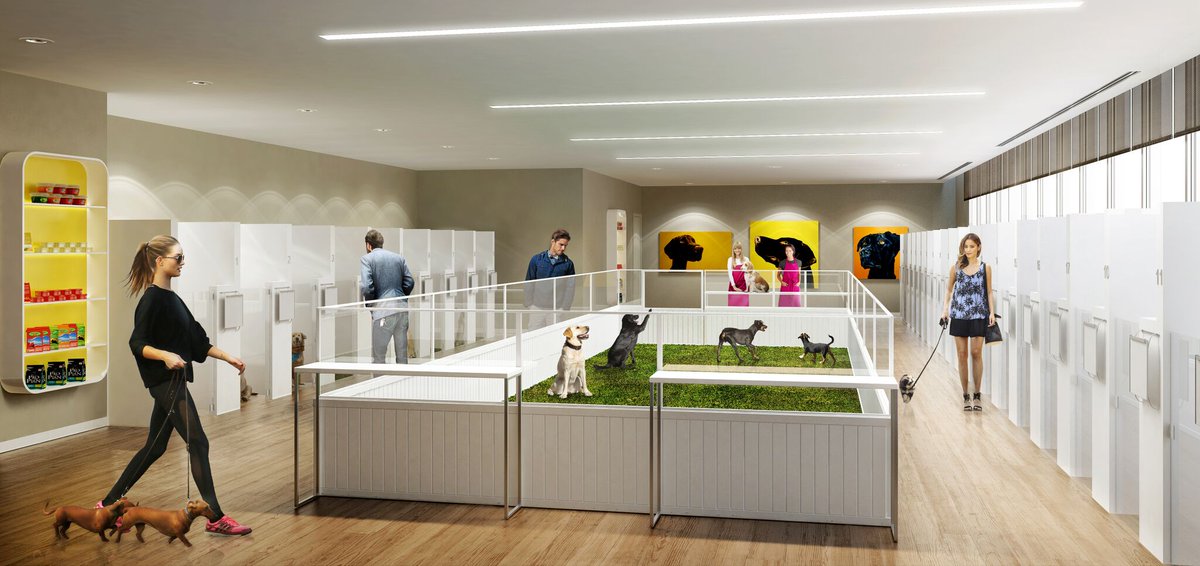 panorama_tower's tweet photo. Our pet owning residents and their four-legged friends will enjoy our pet facilities, which include a daycare, grooming and boarding. #ComingMarch2018 https://t.co/q8rUItnoxo