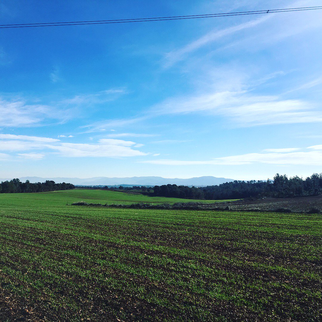 gambejants's tweet photo. Dia d’entrenament @oxfamintermontrailwalker descobrint  bonics racons del Vallès. 26km i ja amb ampolles... necessito bambes noves i donar-li MOLTA canya!! https://t.co/tp5WSELdzP