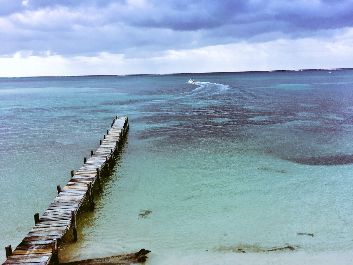 clh416's tweet photo. Last night I dreamt of #sanpedro. #matarocksresort #thatislandlife #livingthedream #belize https://t.co/K8sMQubseA