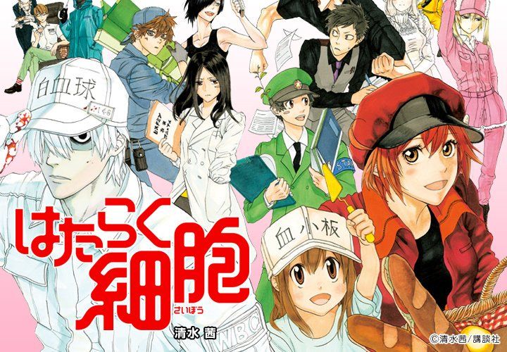 Worldwithouthorizons On Twitter Hataraku Saibou Manga Gets Tv Worldwithouthorizons On Twitter Hataraku Saibou Manga Gets Tv