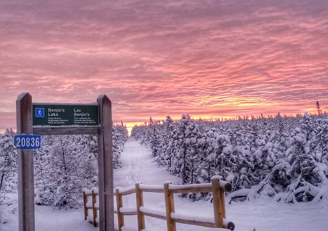 keepexploringCB's tweet photo. An amazing sunrise was our reward after working my nightshift #amazingstarttotheday #sunrise #getoutside #keepexploring #CapeBretonHighlands #capebretonisawesome #CapeBreton #explorecb https://t.co/gm1WcYn6Ht