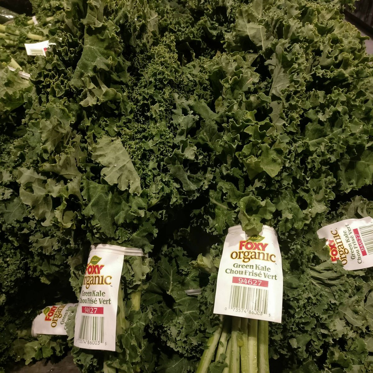 Thinking of starting a juice cleanse? We have you covered with our #CertifiedOrganic Kale along with our 100% #CertifiedOrganice Produce. #ProducePicks while supplies last.