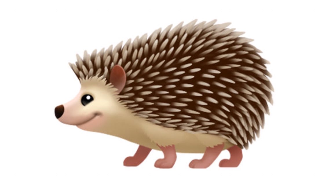 Katja Krasavice bekommt für ihre Bilder 100 retweets, aber wie viele bekommt dieser süße Igel? 🦔❤️