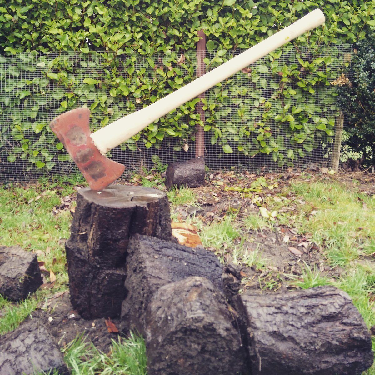 PaddyHoyne's tweet photo. Can I axe you a question? Look a new toy! https://t.co/PqSoxfrOmX