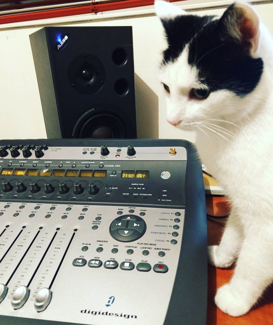 santafeopera's tweet photo. Happy #Caturday!
.
#repost 📷: elmadkouri_#Moch is trying to solve my problem with the #avid #digi002 #catstagram #catoftheday #kitten #cats_of_instagram #kitty #kittylove #catlove #caturday #pets #kittensofinstagram #pet #catwang #catlovers #instatag #cats #catlady #kittens https://t.co/aIQKmSurfz