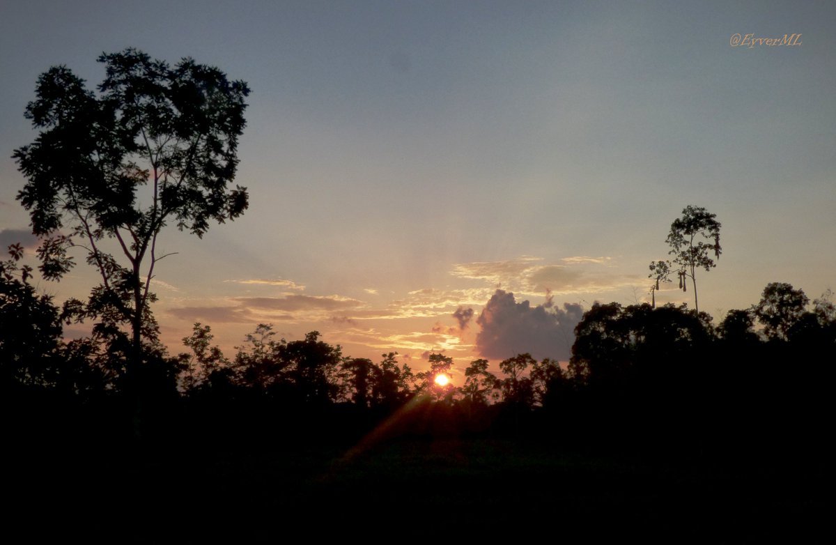 <a href="/NaturPictures/">Latido Terrestre</a> Tarde en La Dorada <a href="/PutumayoTurismo/">PutumayoEcoturistico</a>