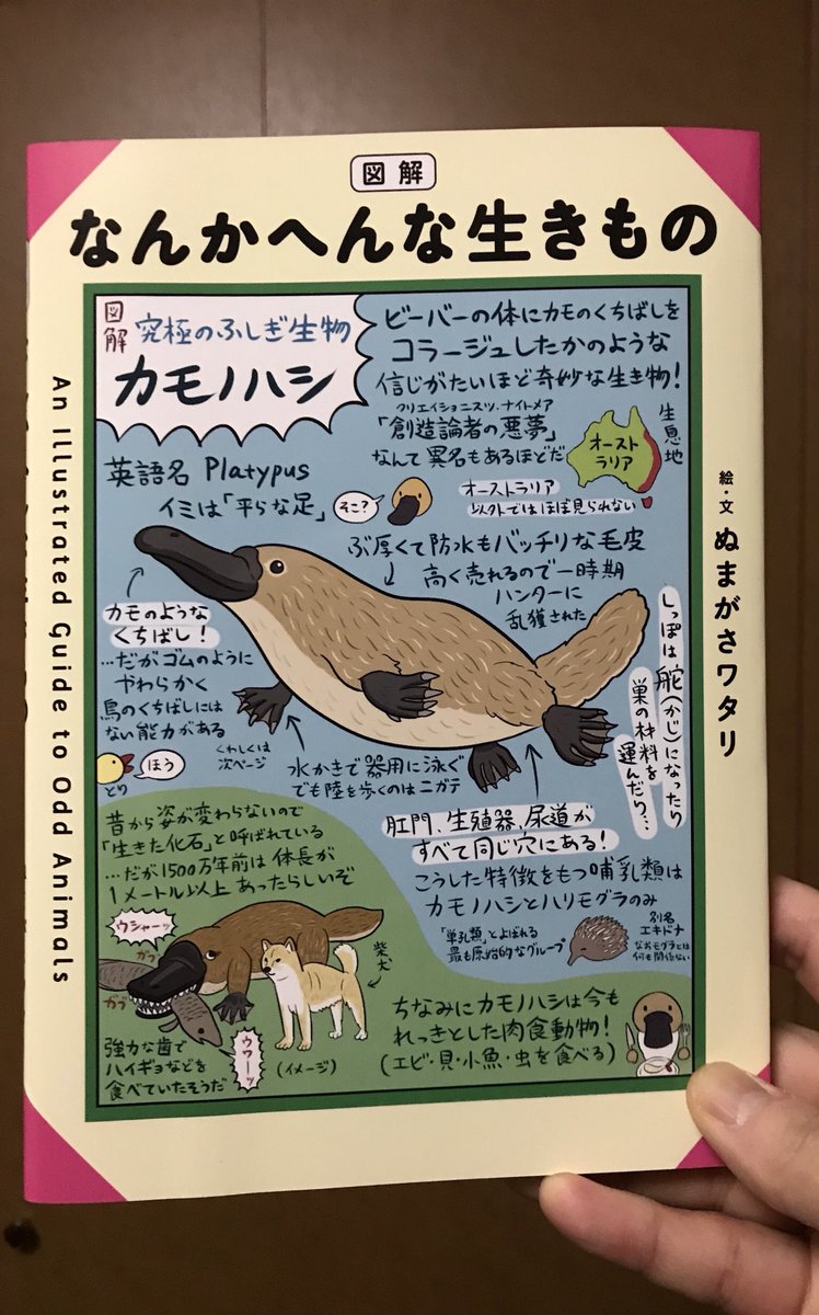 図解なんかへんな生きもの 読了。 タスマニア島に行った時のことを