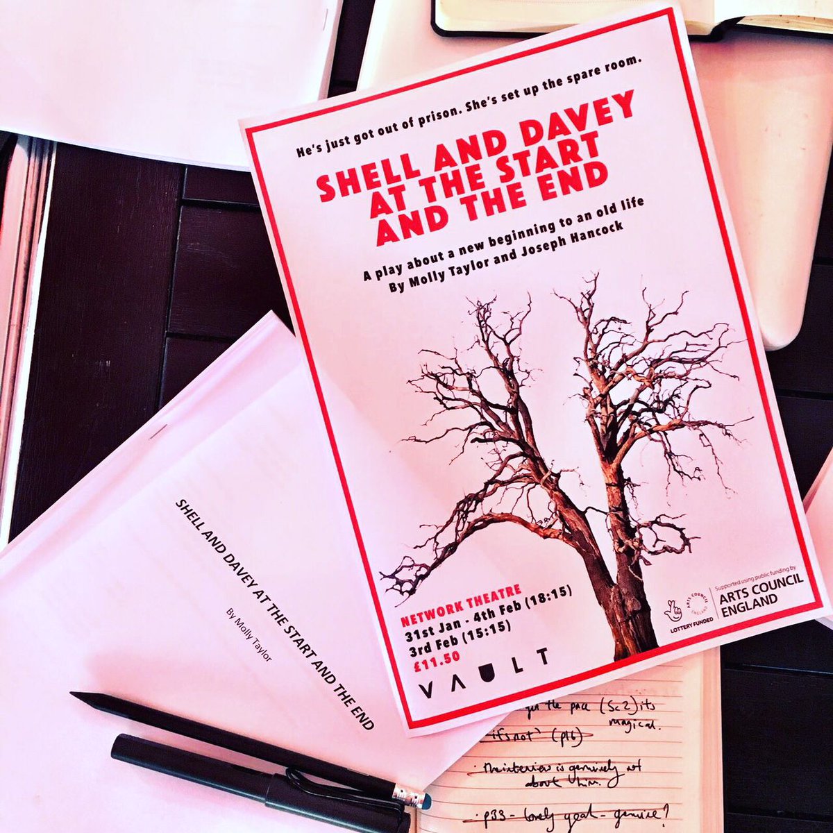 ShellAndDavey's tweet image. Rehearsals for #ShellandDavey continue @PlatformSthwrk