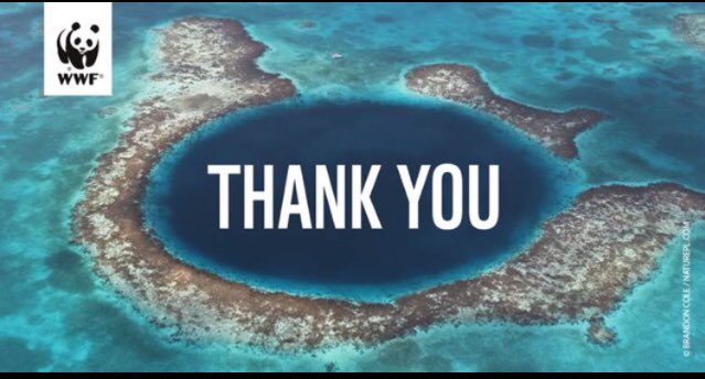 ConvenerNatureP's tweet photo. Big win in 2017. Over 400,000 of you came together last year to urge a ban of offshore oil activities in the stunning Belize #reef and World Heritage Site. YOU made it happen! Belize has just signed the ban into law! #WWF2017Recap #SaveBelize https://t.co/2hltQhhuRy https://t.co/oI8diOeQ9i