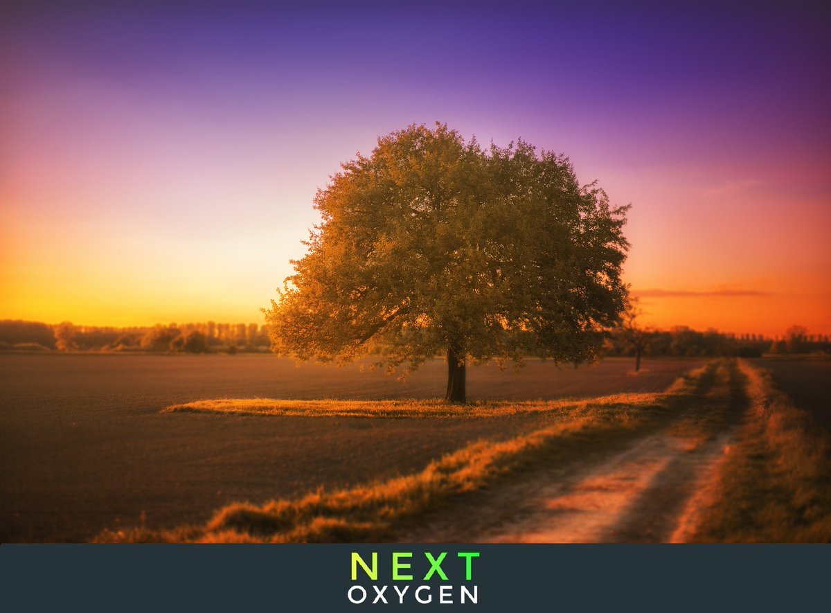 NextOxygen's tweet photo. What you do today can improve all your tomorrows.
Take a Small step to save your tomorrow from Air Pollution.

#NextOxygen #AirPollution #Traffic #HappyLohri #ICanYouCan #Kolkata https://t.co/6D9gqH11Ta
