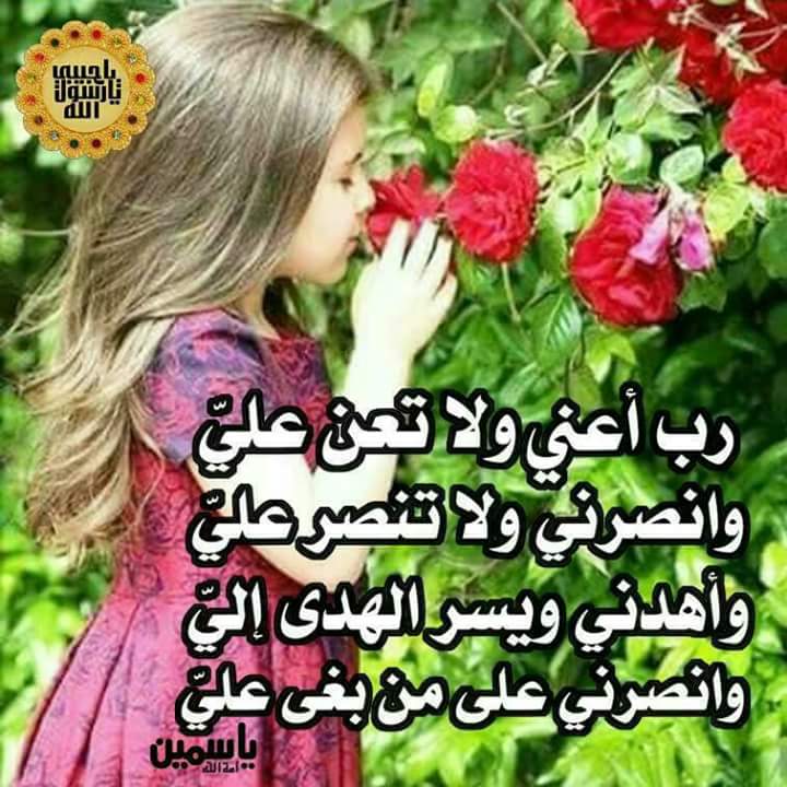 halems8's tweet image. 